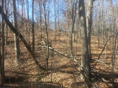 20121122_115754.jpg image