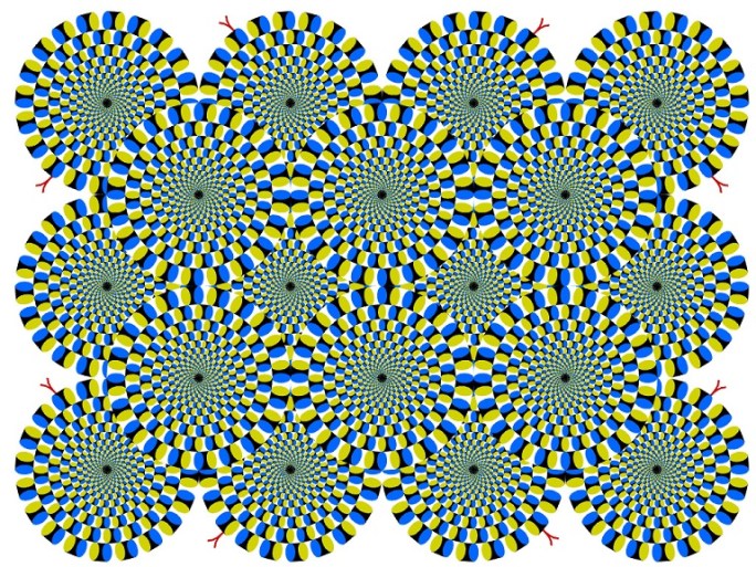 MotionIllusion2