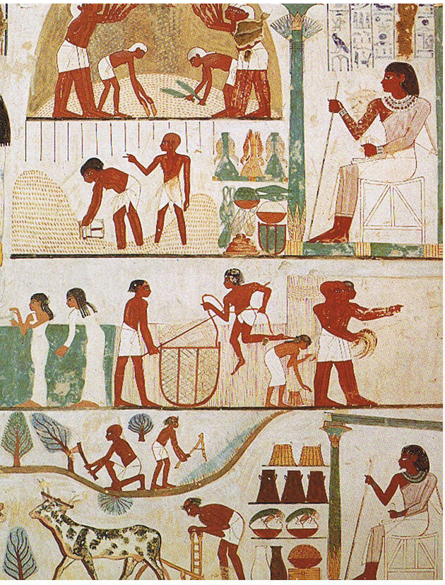 Farming scenes in the Tomb_of_Nakht