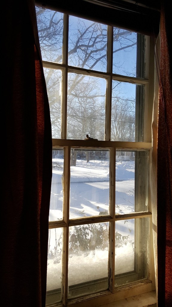 winter window